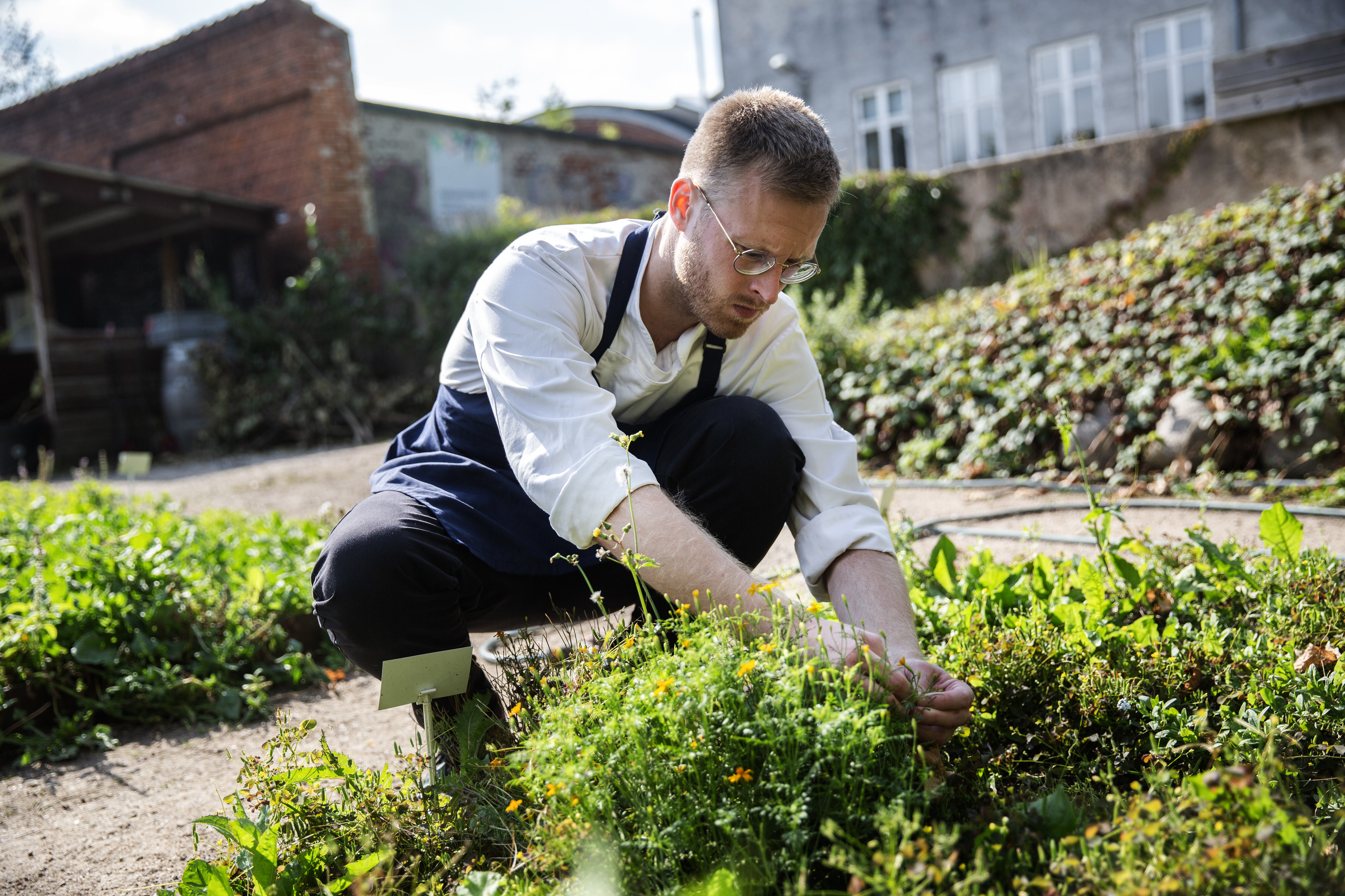Smag For Bæredygtig Fisk Præsentation (1)