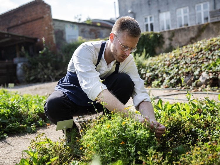 Smag For Bæredygtig Fisk Præsentation (1)