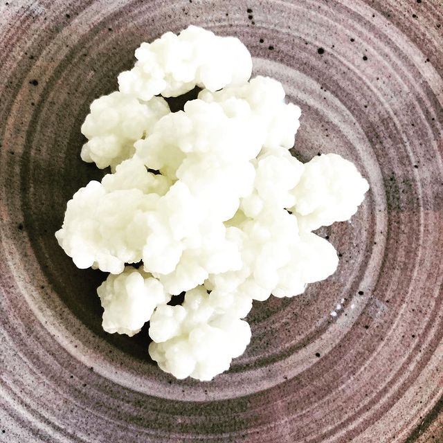 kefir Hotel- og Restaurantskolen