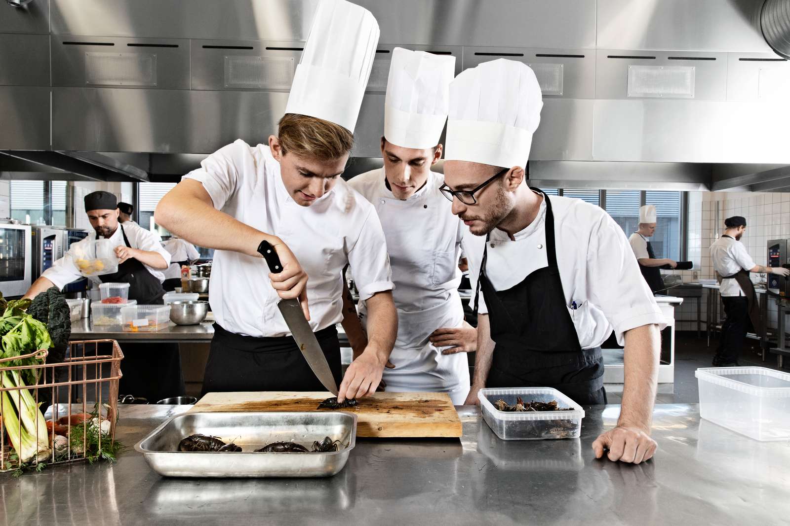 Hotel- og Restaurantskolen i København udbyder en række erhvervsuddannelser.