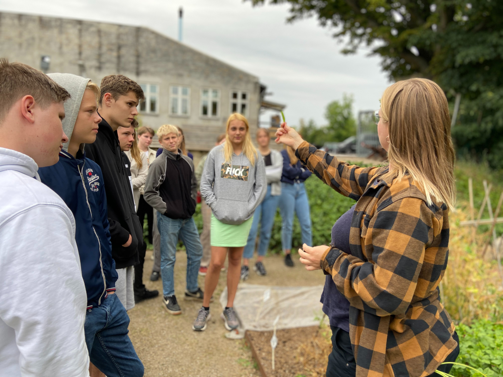I vores byhave på Hotel- og Restaurantskolen dyrker vi økologiske grøntsager og krydderurter.
