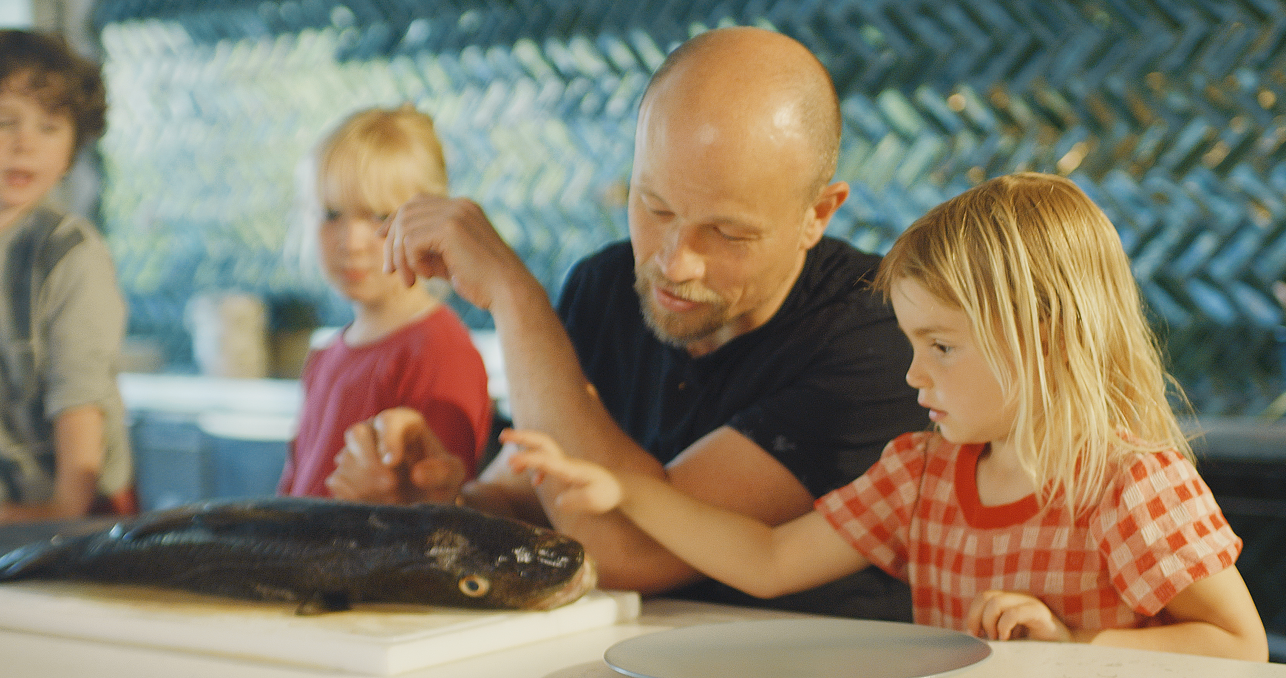 Bliv ernæringsassistent på Hotel- og Restaurantskolen i København.