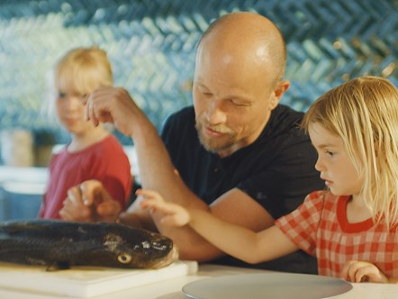 Bliv ernæringsassistent på Hotel- og Restaurantskolen i København.