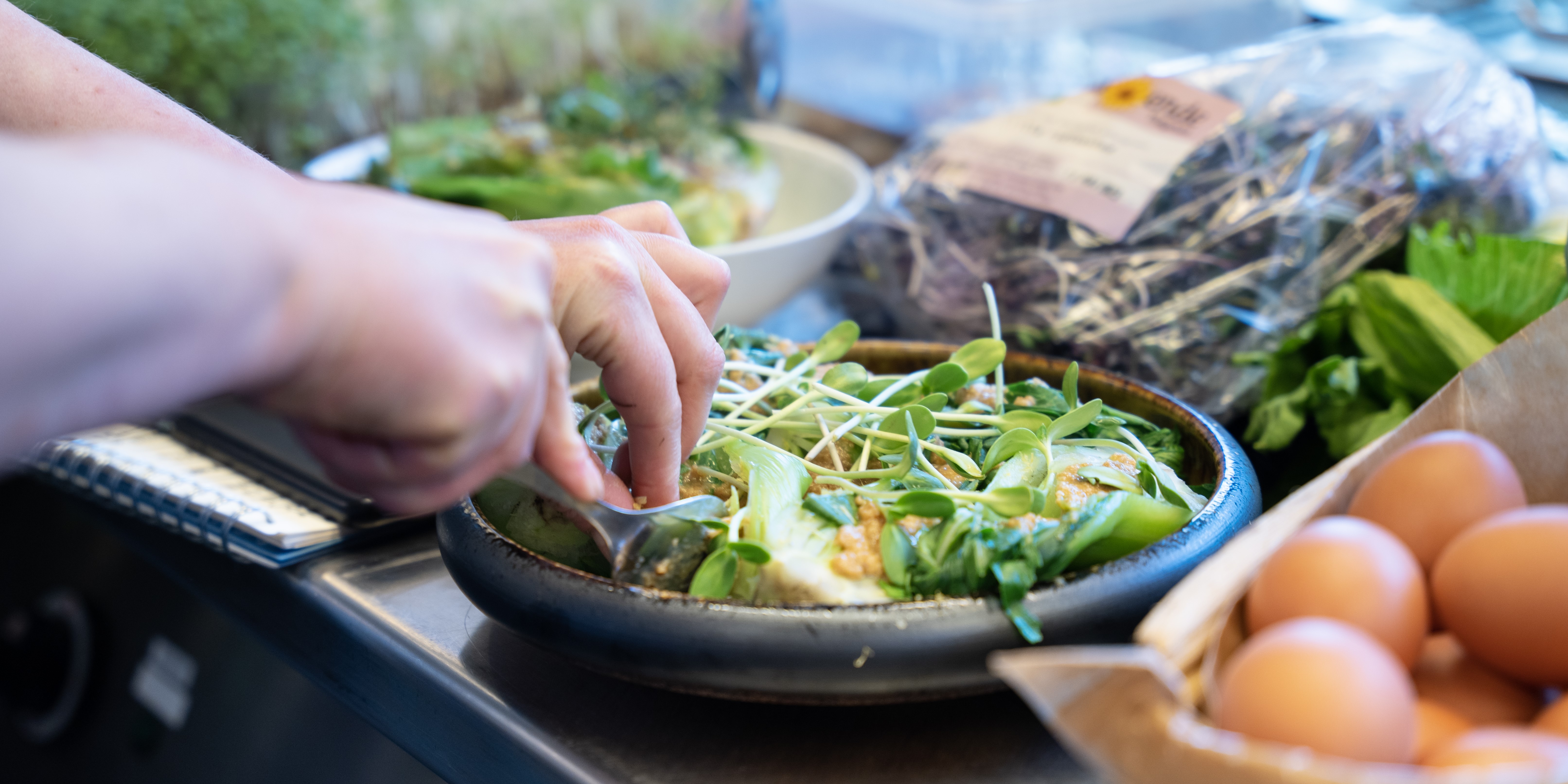 Breaking Planteløftet