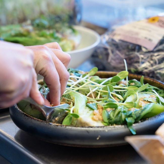 Breaking Planteløftet