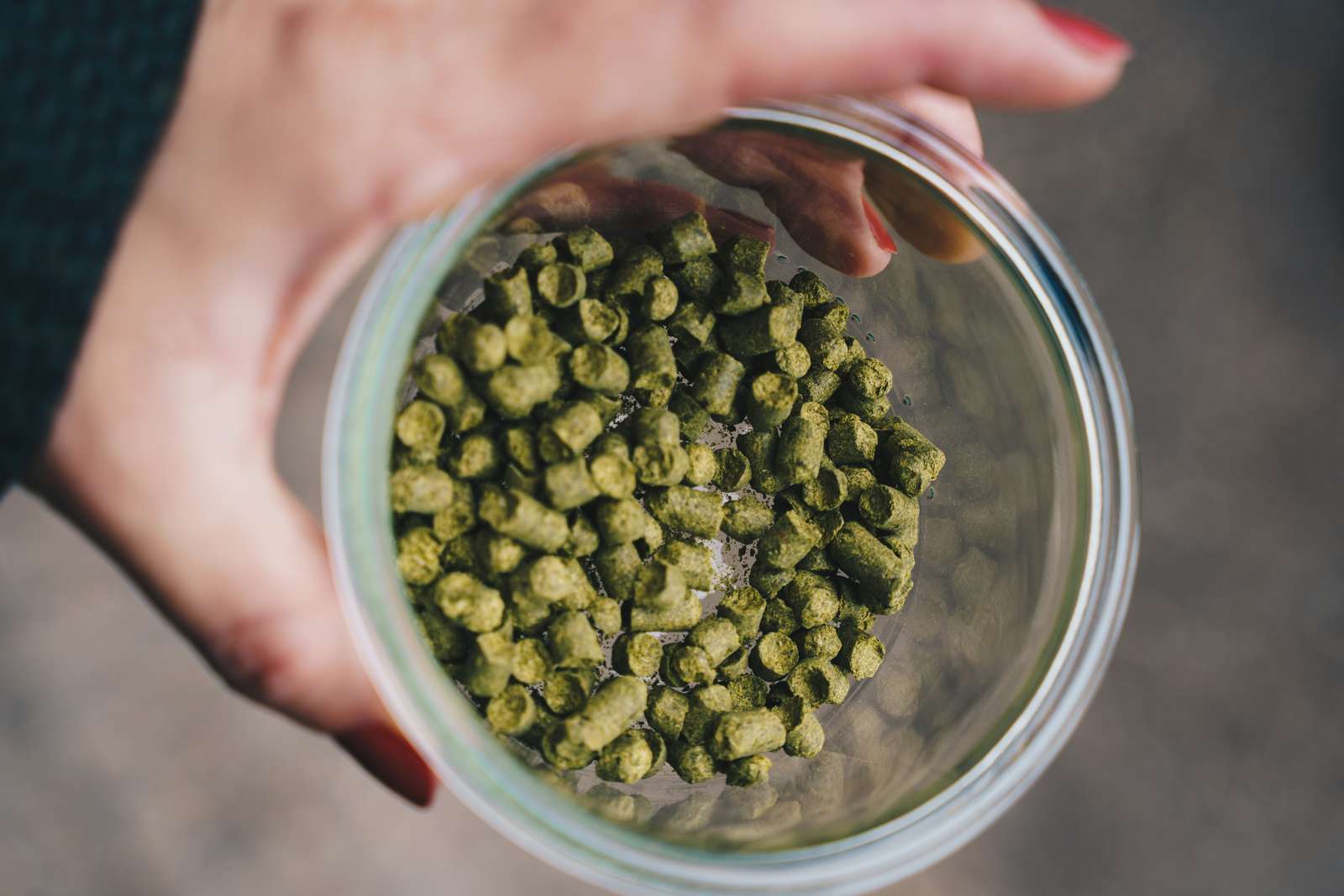 humle Hotel- og Restaurantskolen