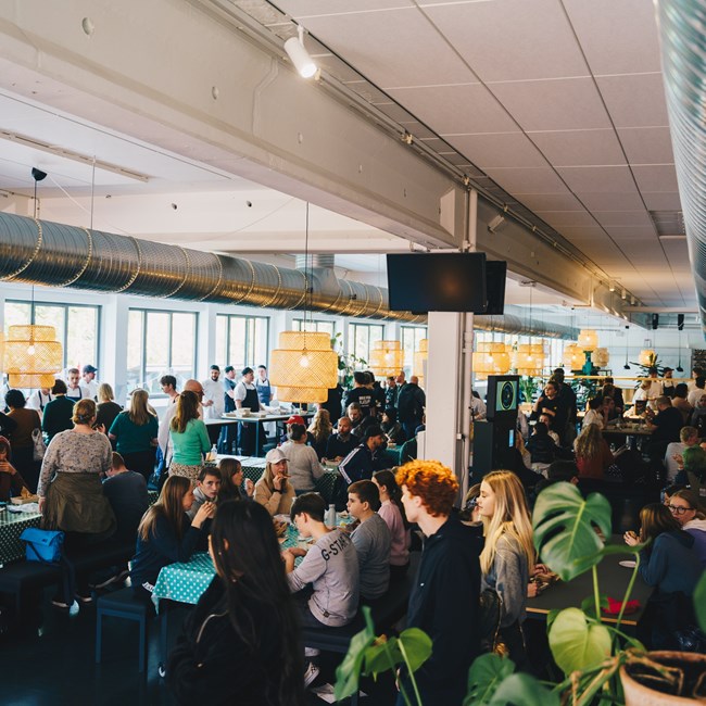 Elever spiser streetfood til frokost i Spisehuset.