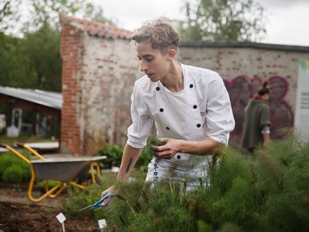 elev i haven Hotel- og Restaurantskolen
