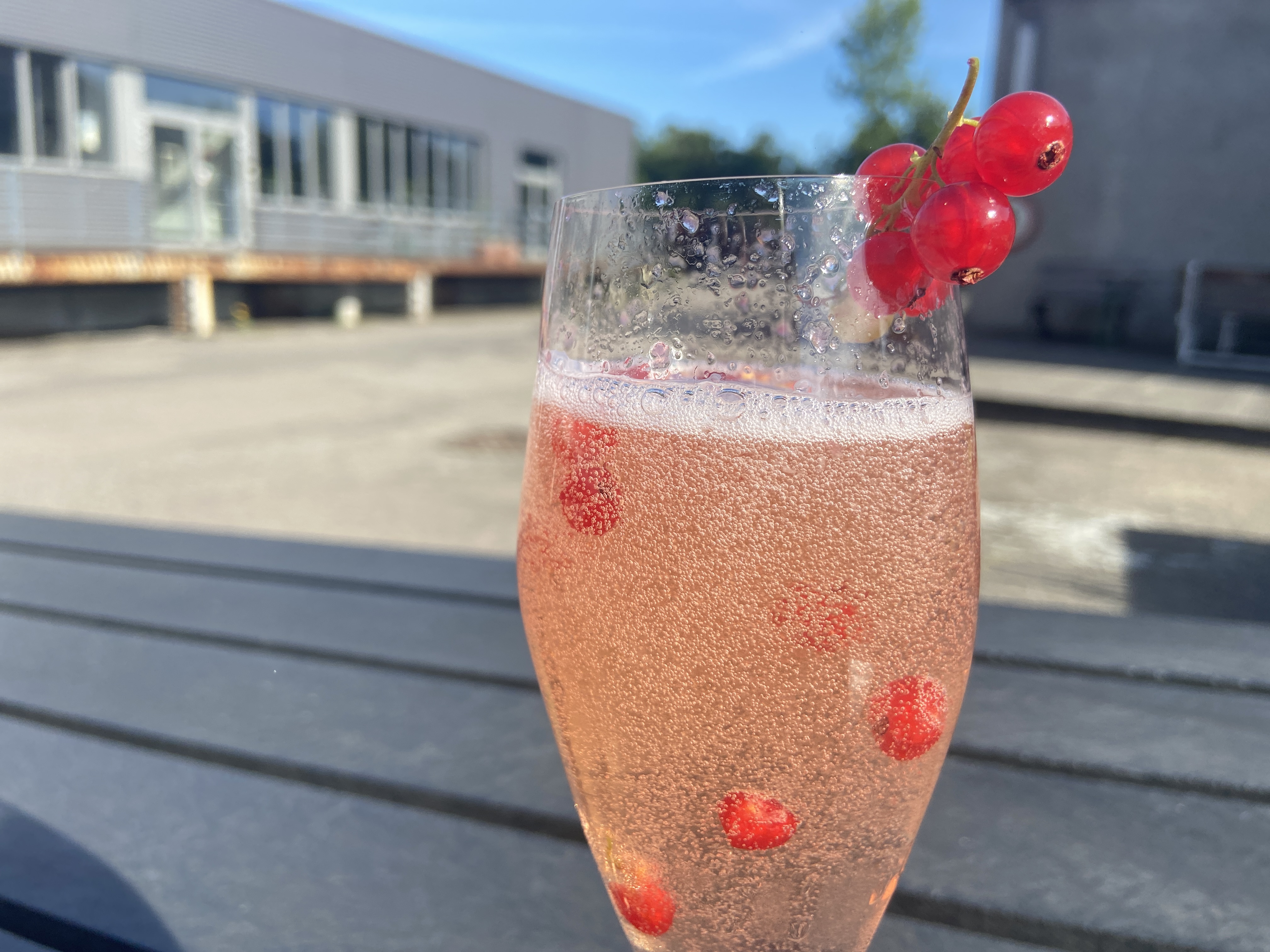 Hotel- og Restaurantskolens opskrift på en ribs rosé