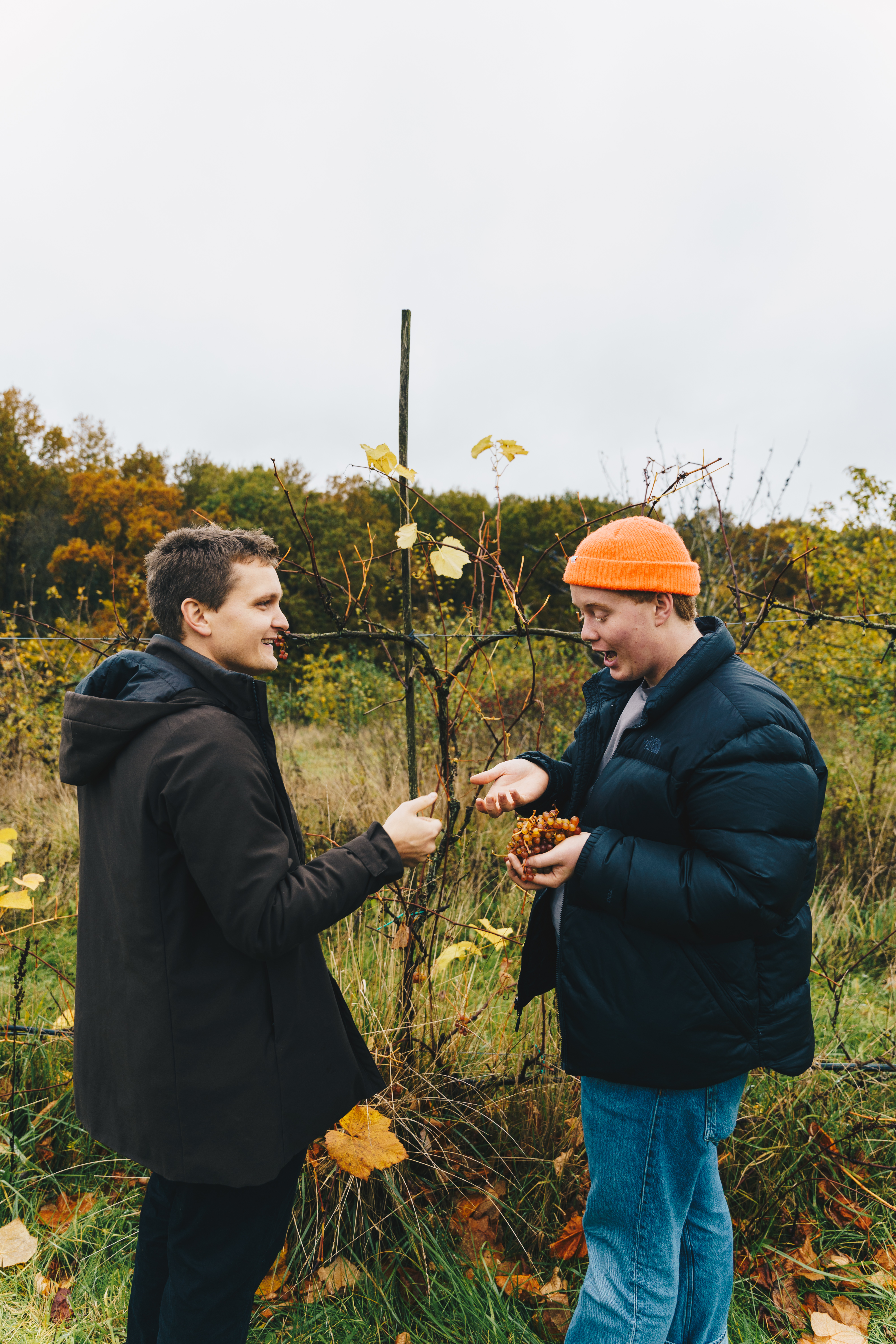 2021.10.27 Lærkehøj Æblerov 74