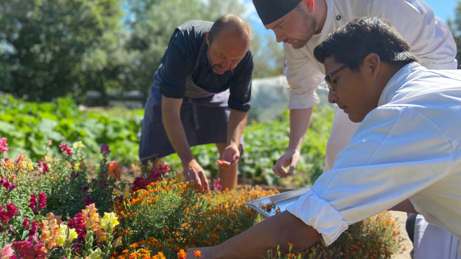 jens vestergaard Hotel- og Restaurantskolen
