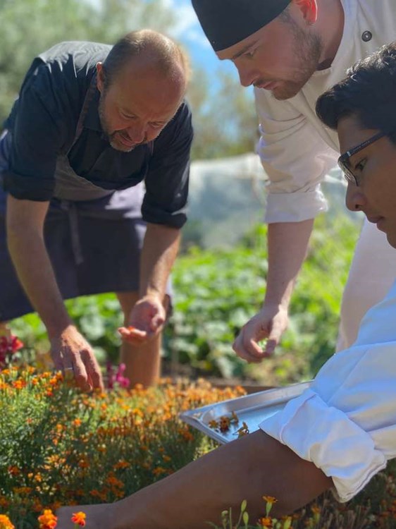 jens vestergaard Hotel- og Restaurantskolen