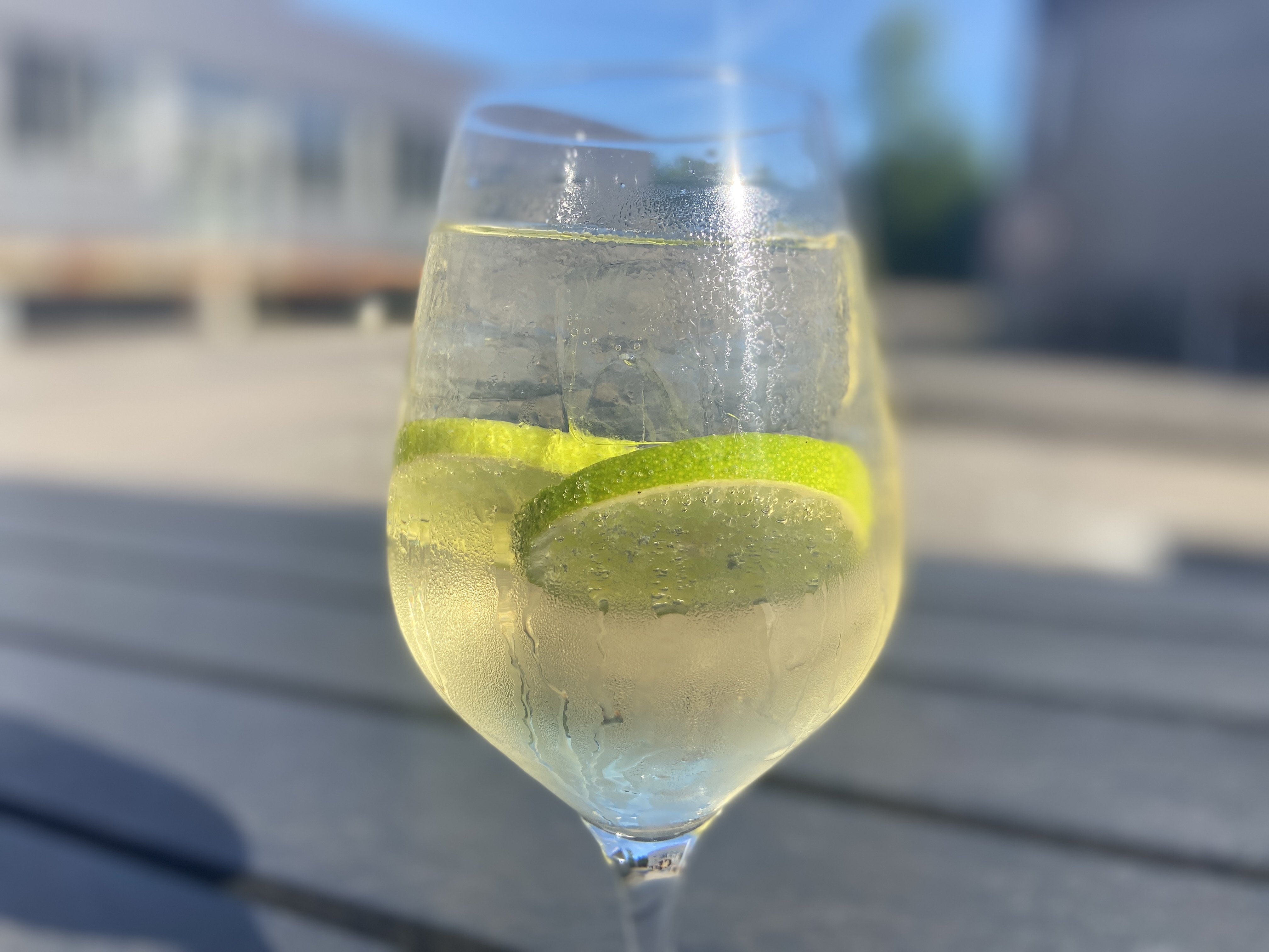 Hotel- og Restaurantskolens opskrift på en Port n tonic