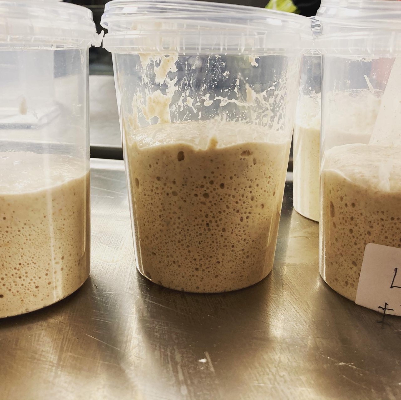 Hotel- og Restaurantskolens opskrift på surdej til surdejsboller.