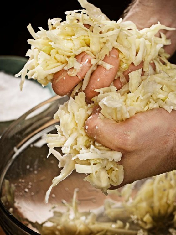 Fermentering Hænder