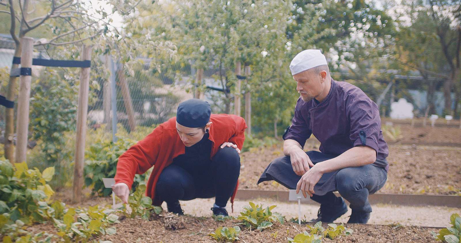 Ernæringsassistentelever i haven på Hotel- og Restaurantskolen