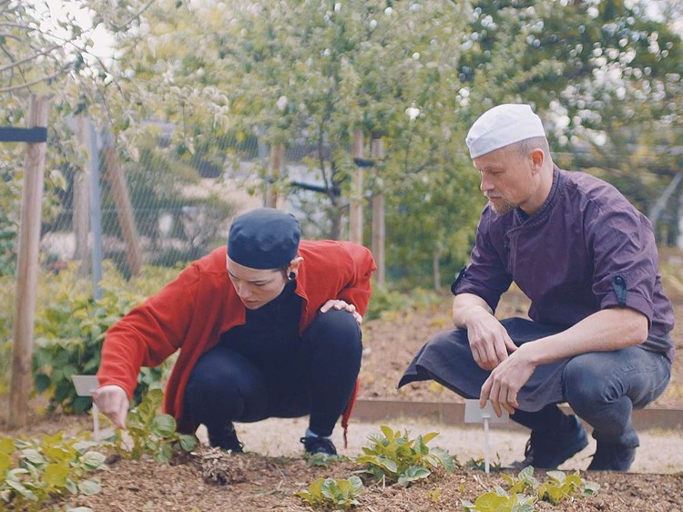 Ernæringsassistentelever i haven på Hotel- og Restaurantskolen