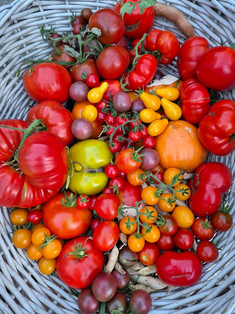 A4c6a3db8498600e316b921b28c781bf097b8a37 2 750X1000